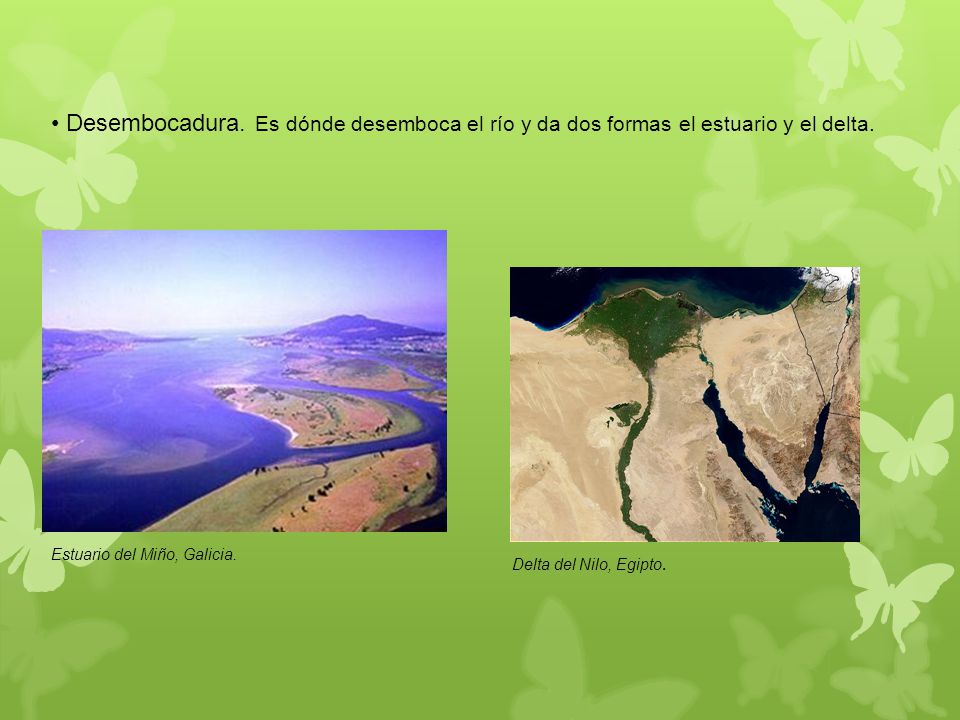 Desembocadura. Es dónde desemboca el río y da dos formas el estuario y el delta.