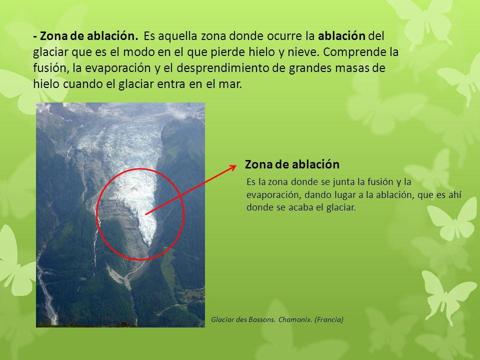 - Zona de ablación. Es aquella zona donde ocurre la ablación del glaciar que es el modo en el que pierde hielo y nieve. Comprende la fusión, la evaporación y el desprendimiento de grandes masas de hielo cuando el glaciar entra en el mar.