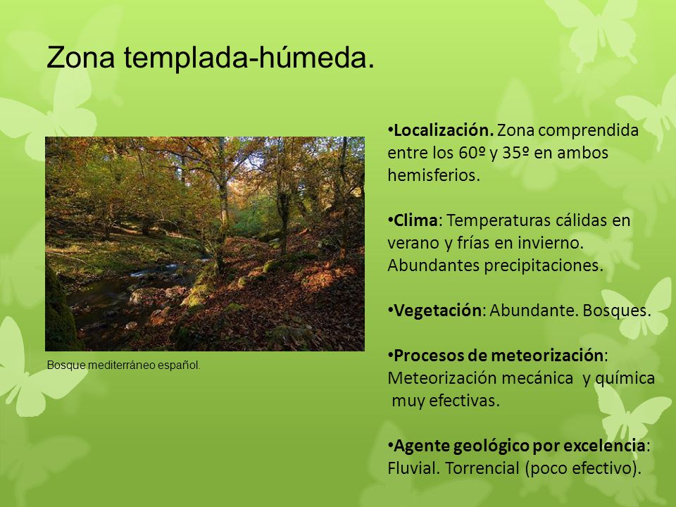 Zona templada-húmeda. Localización. Zona comprendida entre los 60º y 35º en ambos hemisferios.