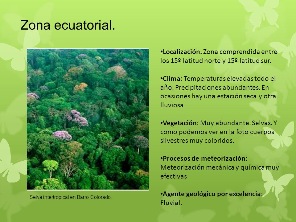 Zona ecuatorial. Localización. Zona comprendida entre los 15º latitud norte y 15º latitud sur.