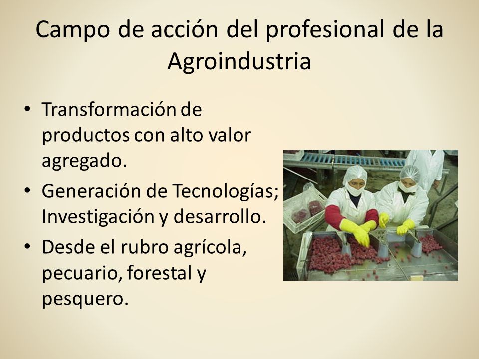 Campo de acción del profesional de la Agroindustria