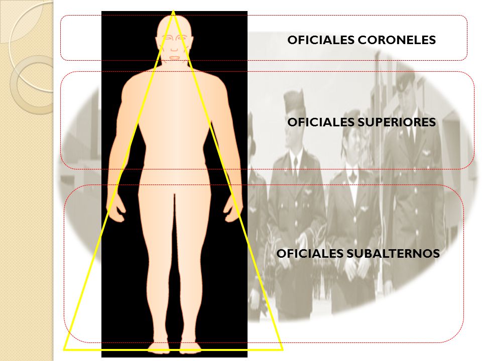 OFICIALES CORONELES OFICIALES SUPERIORES OFICIALES SUBALTERNOS
