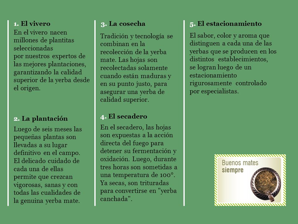 1. El vivero 3. La cosecha. 5. El estacionamiento. En el vivero nacen millones de plantitas seleccionadas.