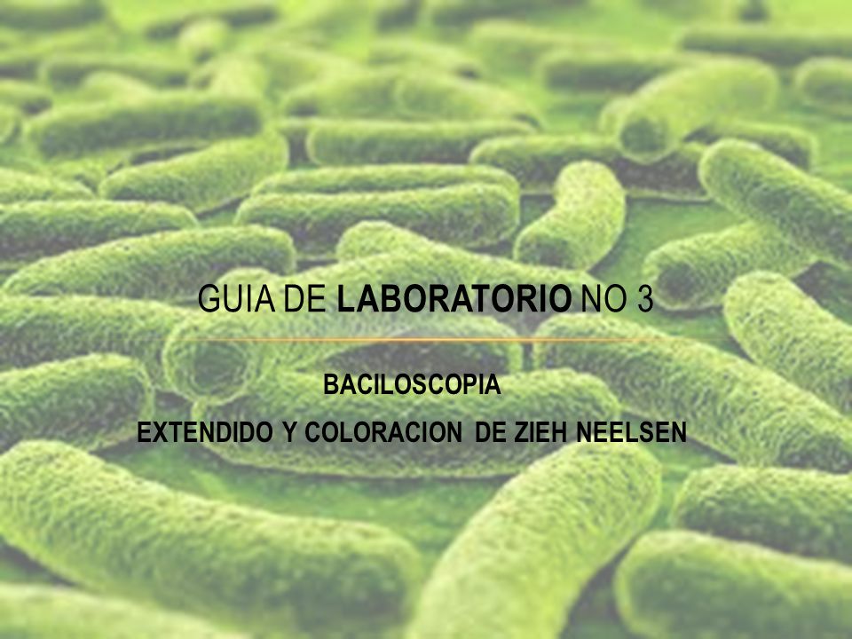 BACILOSCOPIA EXTENDIDO Y COLORACION DE ZIEH NEELSEN
