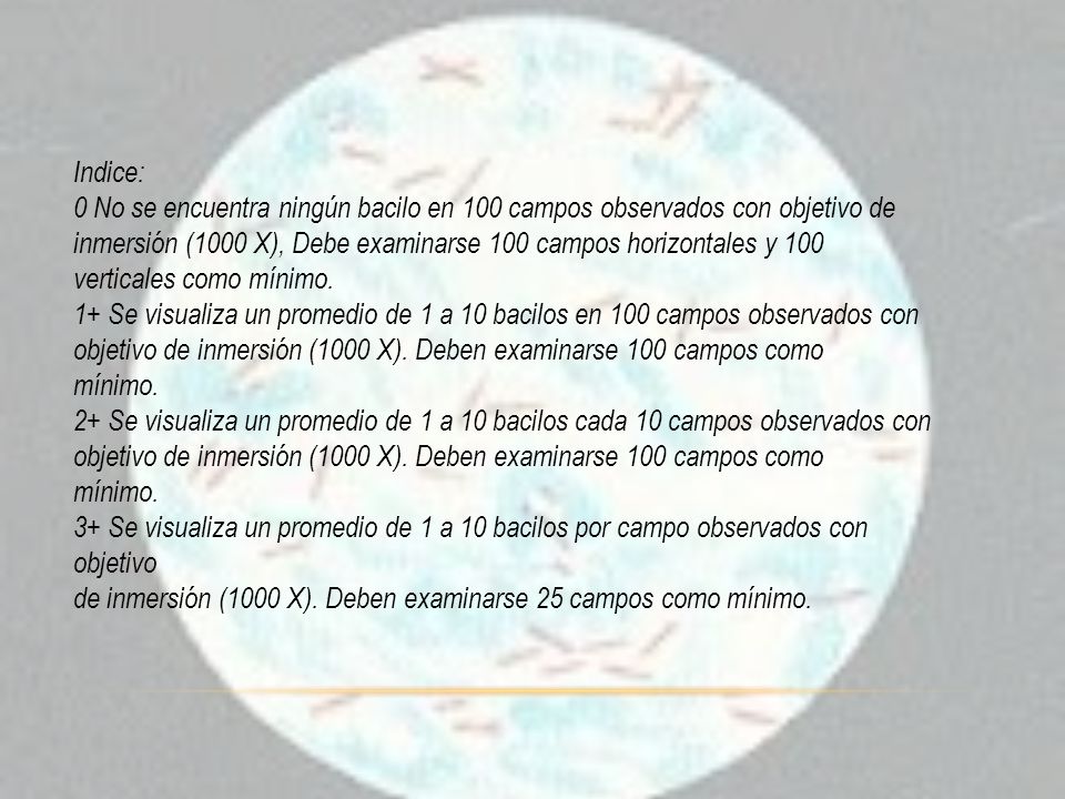 Indice: 0 No se encuentra ningún bacilo en 100 campos observados con objetivo de. inmersión (1000 X), Debe examinarse 100 campos horizontales y 100.