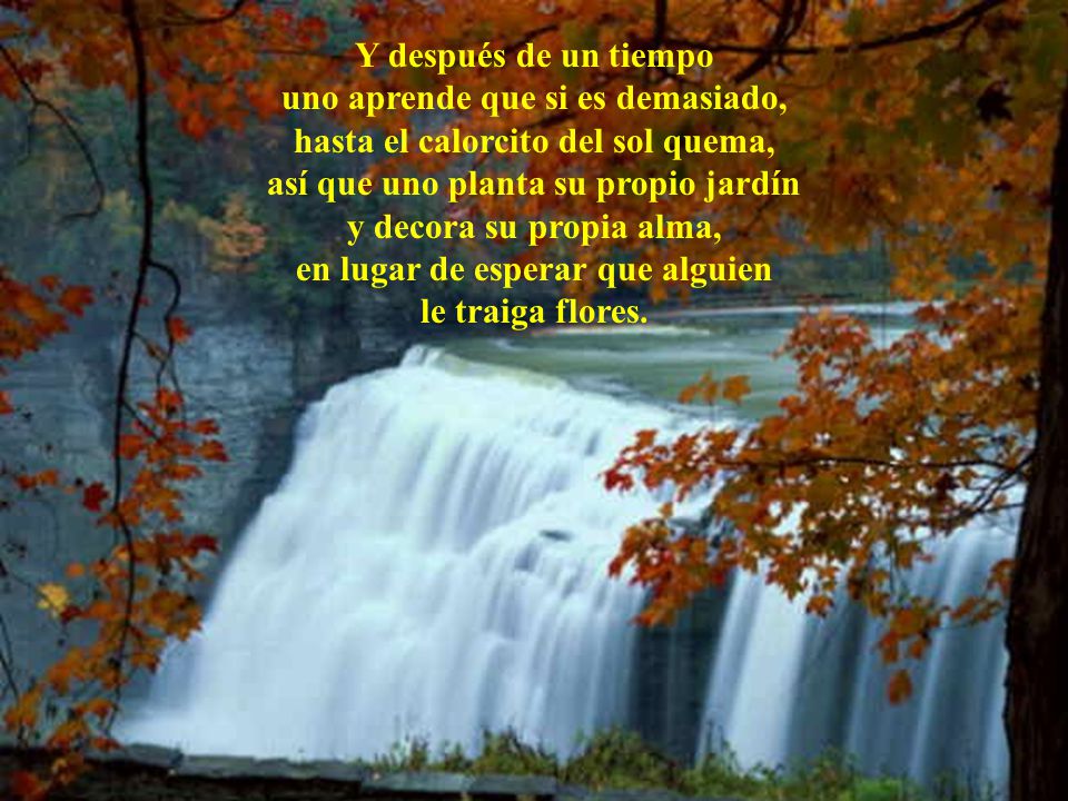 Y después de un tiempo uno aprende que si es demasiado, hasta el calorcito del sol quema, así que uno planta su propio jardín y decora su propia alma, en lugar de esperar que alguien le traiga flores.