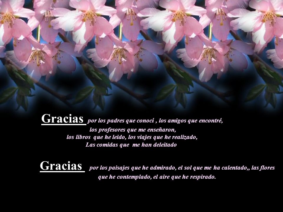 Gracias por los padres que conocí , los amigos que encontré,