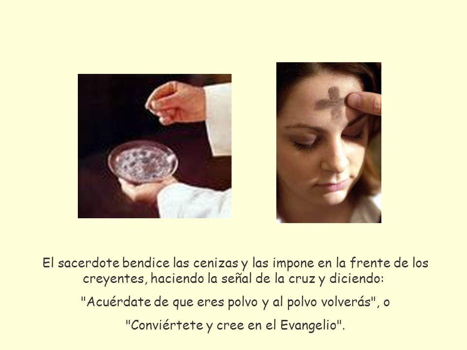 Acuérdate de que eres polvo y al polvo volverás , o