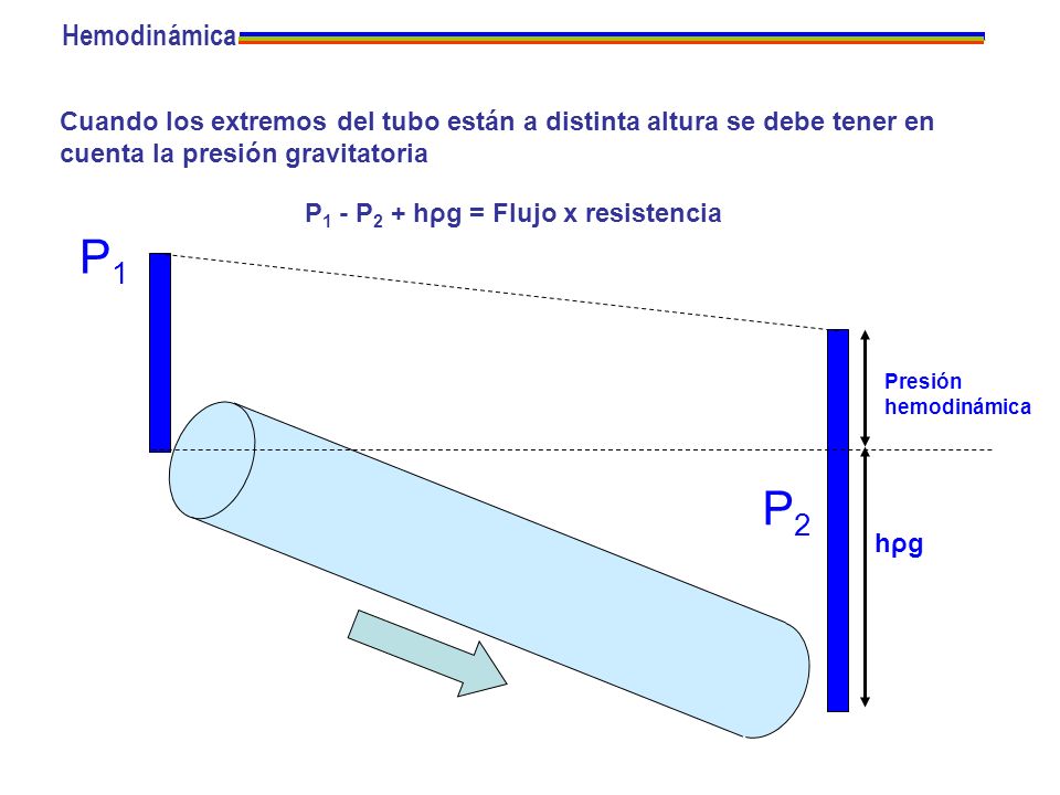 Hemodinámica Cuando los extremos del tubo están a distinta altura se debe tener en cuenta la presión gravitatoria.