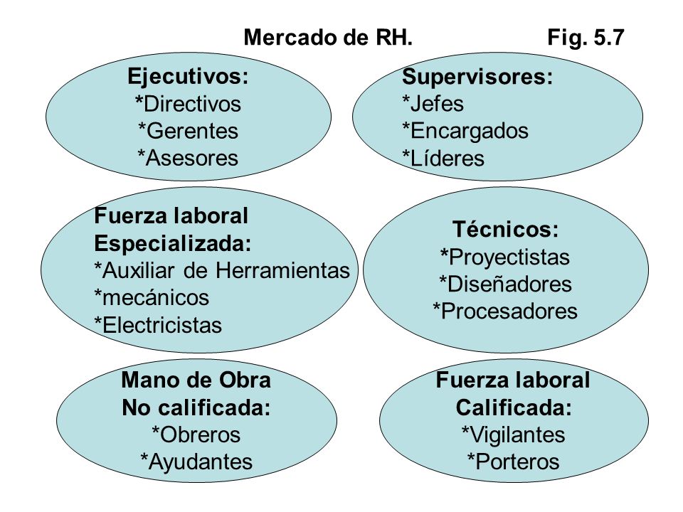Mercado de RH. Fig. 5.7 Ejecutivos: *Directivos. *Gerentes. *Asesores. Supervisores: