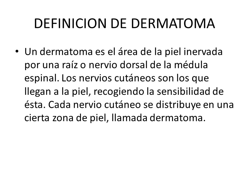 DEFINICION DE DERMATOMA