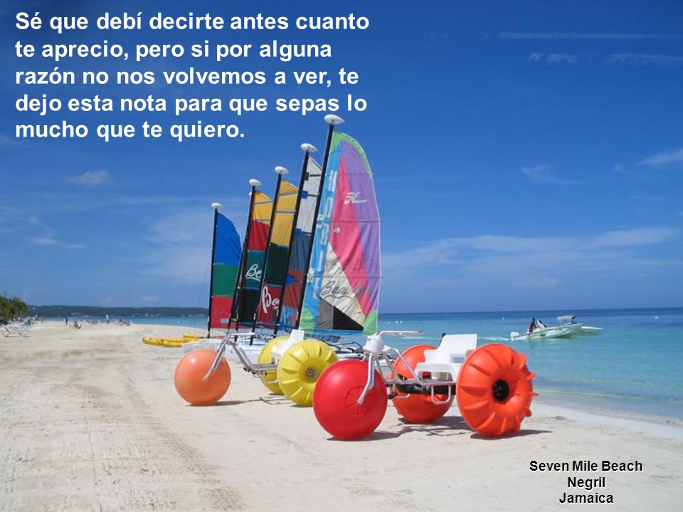 Sé que debí decirte antes cuanto te aprecio, pero si por alguna razón no nos volvemos a ver, te dejo esta nota para que sepas lo mucho que te quiero.
