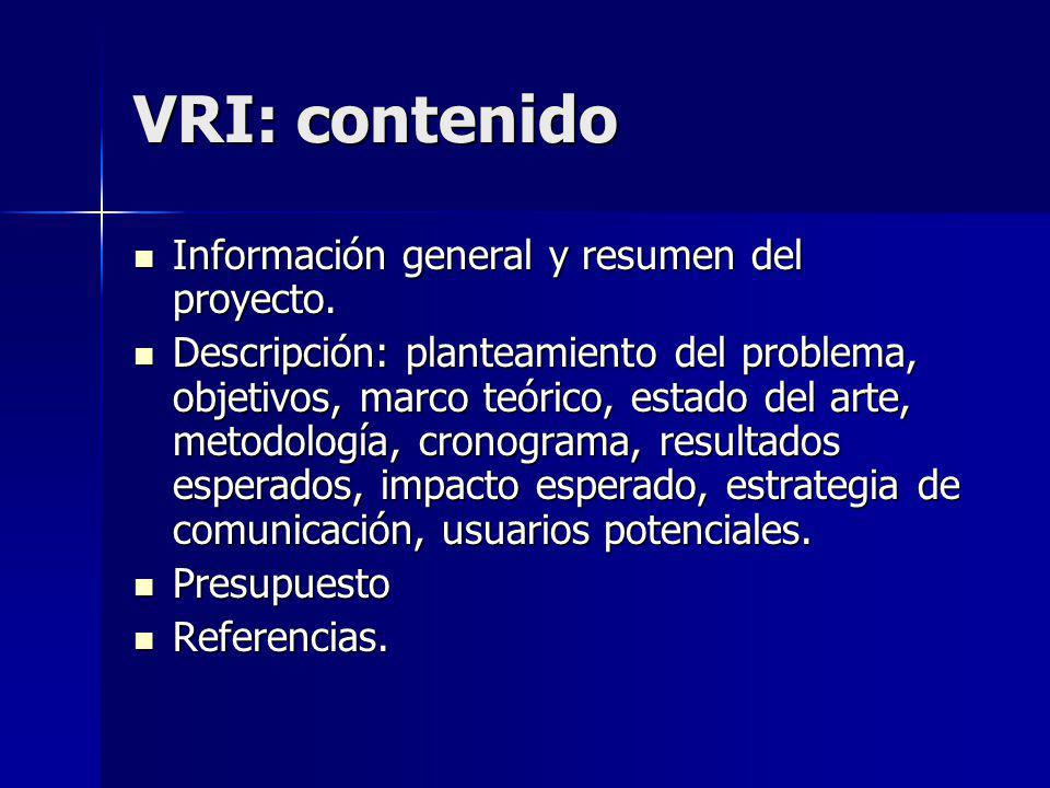 VRI: contenido Información general y resumen del proyecto.