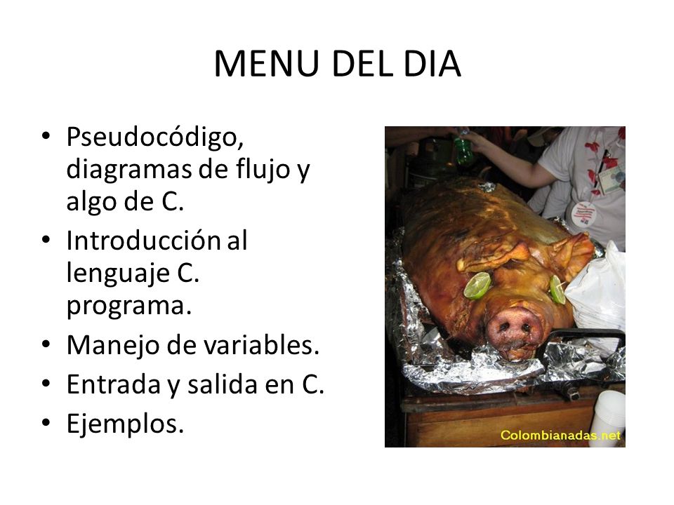 MENU DEL DIA Pseudocódigo, diagramas de flujo y algo de C.