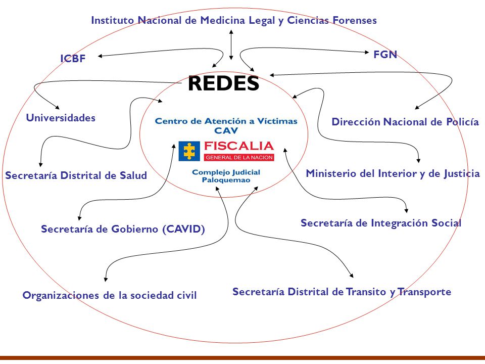REDES Instituto Nacional de Medicina Legal y Ciencias Forenses FGN