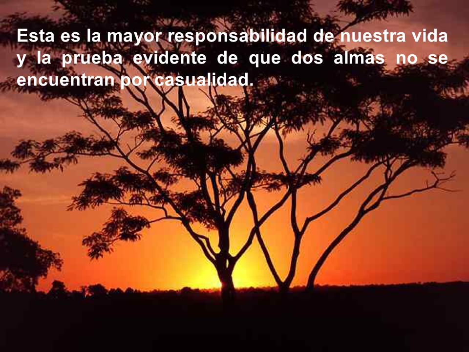 Esta es la mayor responsabilidad de nuestra vida y la prueba evidente de que dos almas no se encuentran por casualidad.