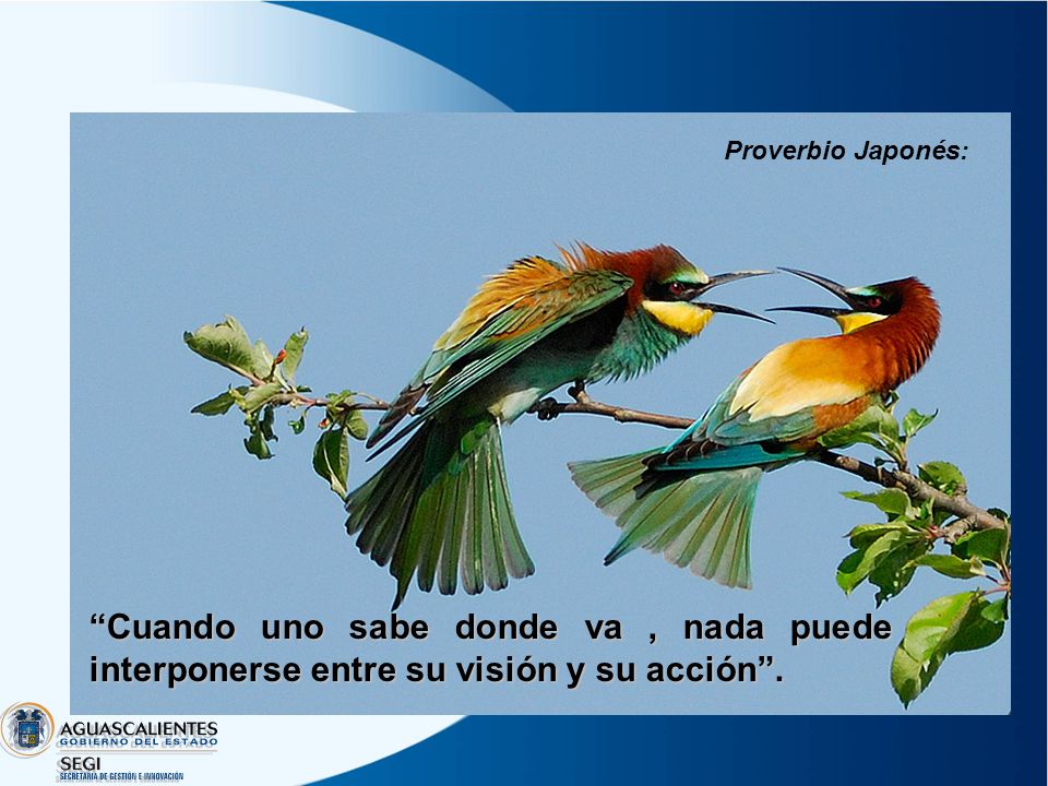 Proverbio Japonés: Cuando uno sabe donde va , nada puede interponerse entre su visión y su acción .