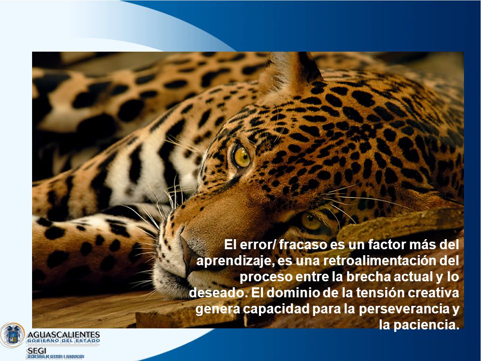 El error/ fracaso es un factor más del aprendizaje, es una retroalimentación del proceso entre la brecha actual y lo deseado.