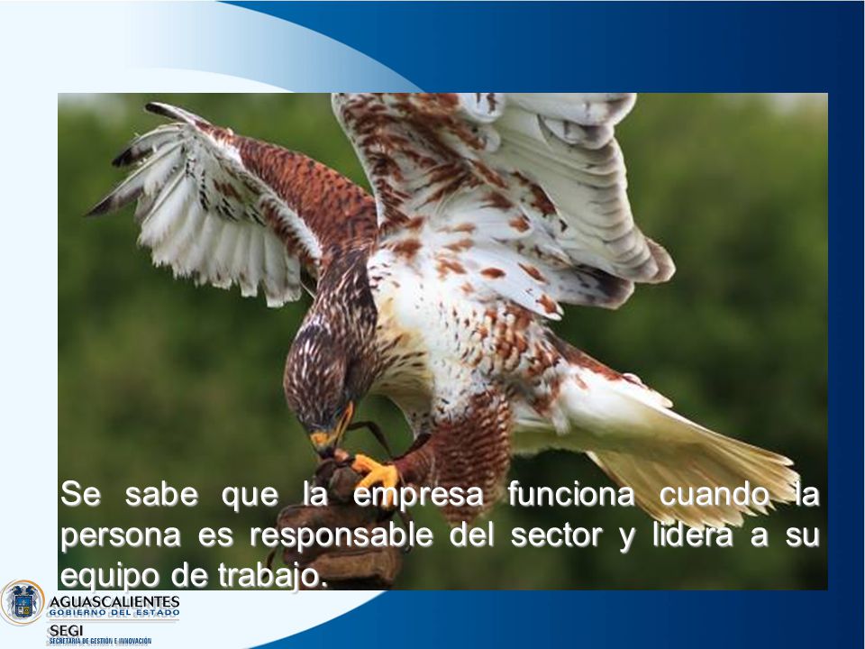 Se sabe que la empresa funciona cuando la persona es responsable del sector y lidera a su equipo de trabajo.
