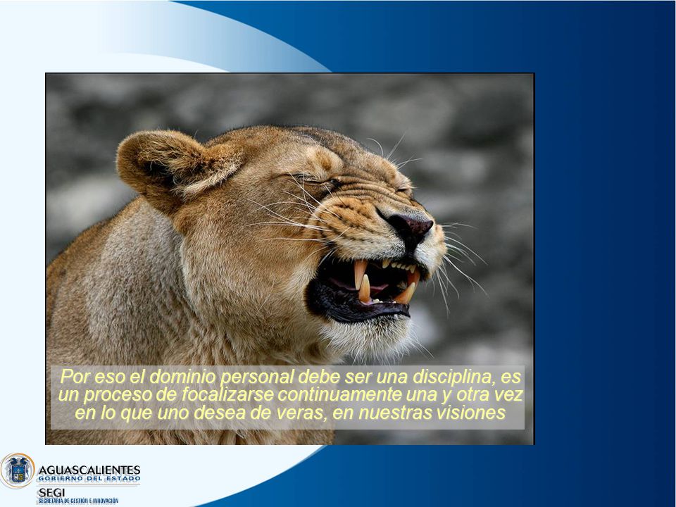 Por eso el dominio personal debe ser una disciplina, es un proceso de focalizarse continuamente una y otra vez en lo que uno desea de veras, en nuestras visiones
