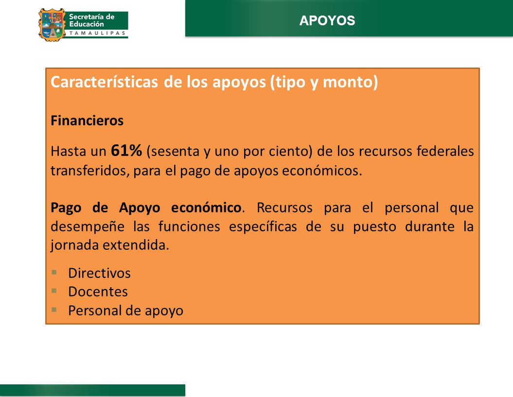 Características de los apoyos (tipo y monto)