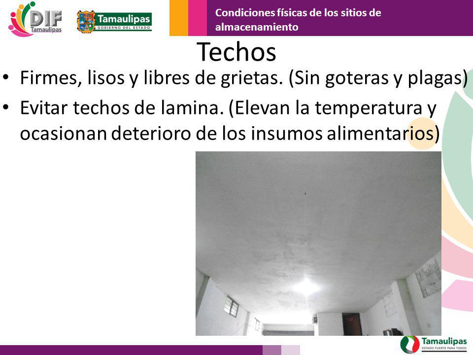 Techos Firmes, lisos y libres de grietas. (Sin goteras y plagas)