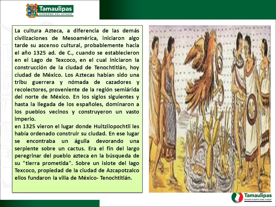 La cultura Azteca, a diferencia de las demás civilizaciones de Mesoamérica, iniciaron algo tarde su ascenso cultural, probablemente hacia el año 1325 ad. de C., cuando se establecieron en el Lago de Texcoco, en el cual iniciaron la construcción de la ciudad de Tenochtitlán, hoy ciudad de México. Los Aztecas habían sido una tribu guerrera y nómada de cazadores y recolectores, proveniente de la región semiárida del norte de México. En los siglos siguientes y hasta la llegada de los españoles, dominaron a los pueblos vecinos y construyeron un vasto imperio.