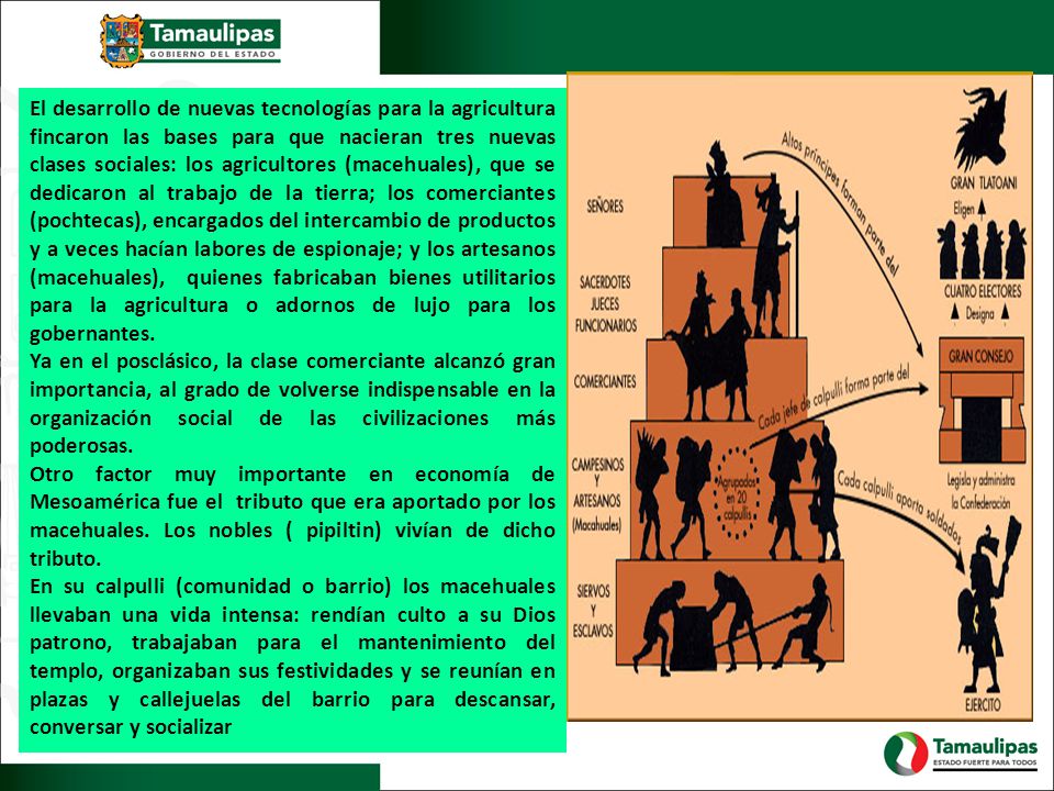 El desarrollo de nuevas tecnologías para la agricultura fincaron las bases para que nacieran tres nuevas clases sociales: los agricultores (macehuales), que se dedicaron al trabajo de la tierra; los comerciantes (pochtecas), encargados del intercambio de productos y a veces hacían labores de espionaje; y los artesanos (macehuales), quienes fabricaban bienes utilitarios para la agricultura o adornos de lujo para los gobernantes.