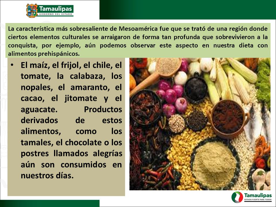 La característica más sobresaliente de Mesoamérica fue que se trató de una región donde ciertos elementos culturales se arraigaron de forma tan profunda que sobrevivieron a la conquista, por ejemplo, aún podemos observar este aspecto en nuestra dieta con alimentos prehispánicos.
