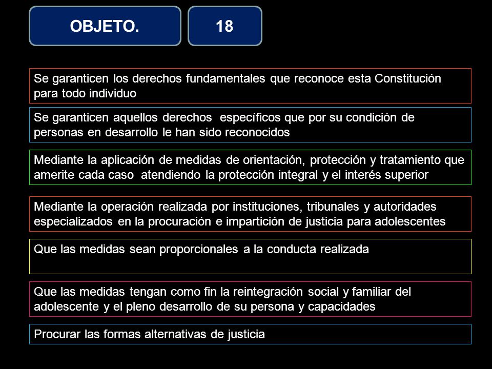 OBJETO. 18. Se garanticen los derechos fundamentales que reconoce esta Constitución para todo individuo.