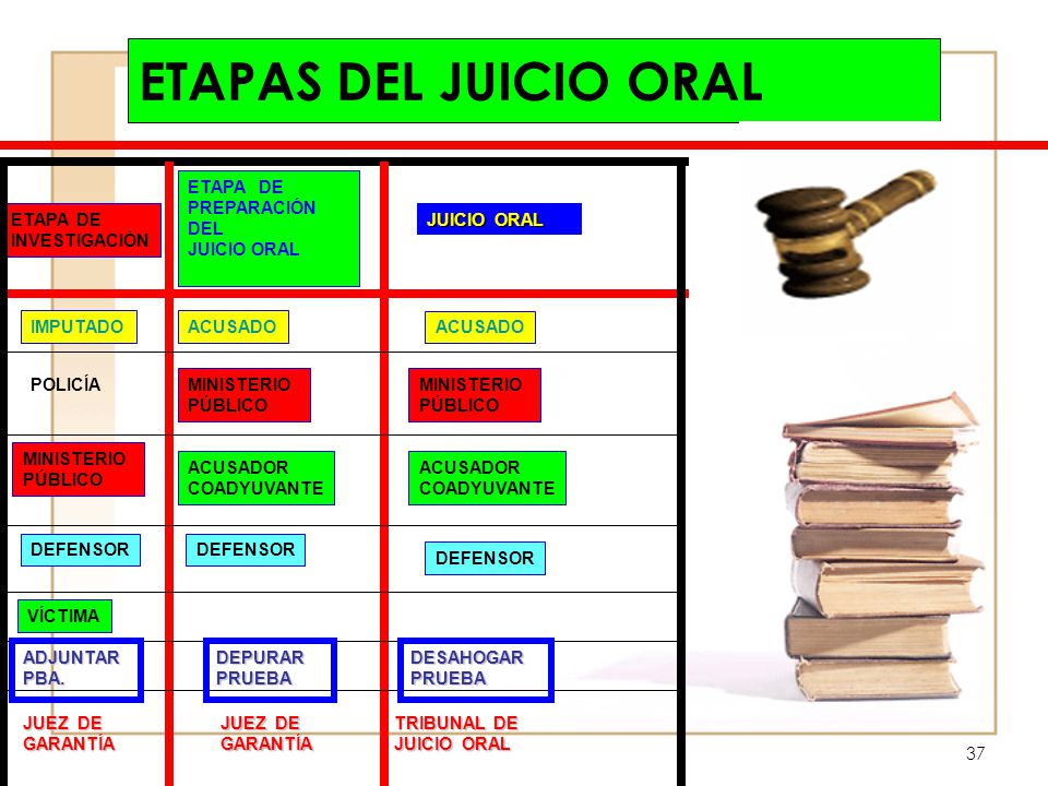 ETAPAS DEL JUICIO ORAL ETAPA DE PREPARACIÓN DEL JUICIO ORAL ETAPA DE