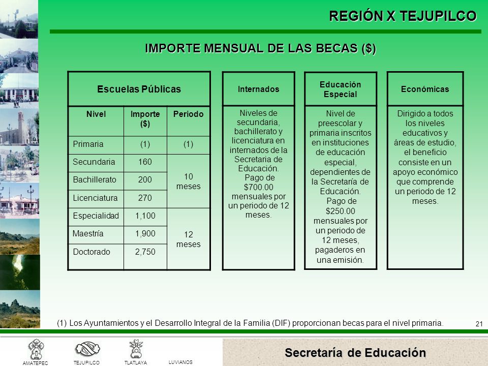 Pago de $ mensuales por un periodo de 12 meses.
