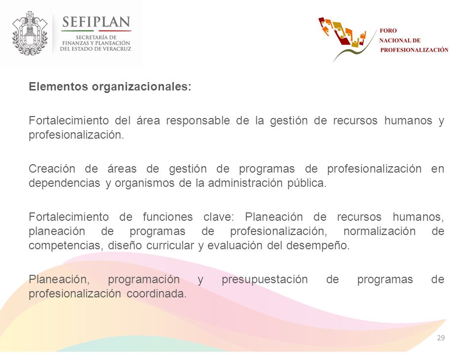 Elementos organizacionales: Fortalecimiento del área responsable de la gestión de recursos humanos y profesionalización.