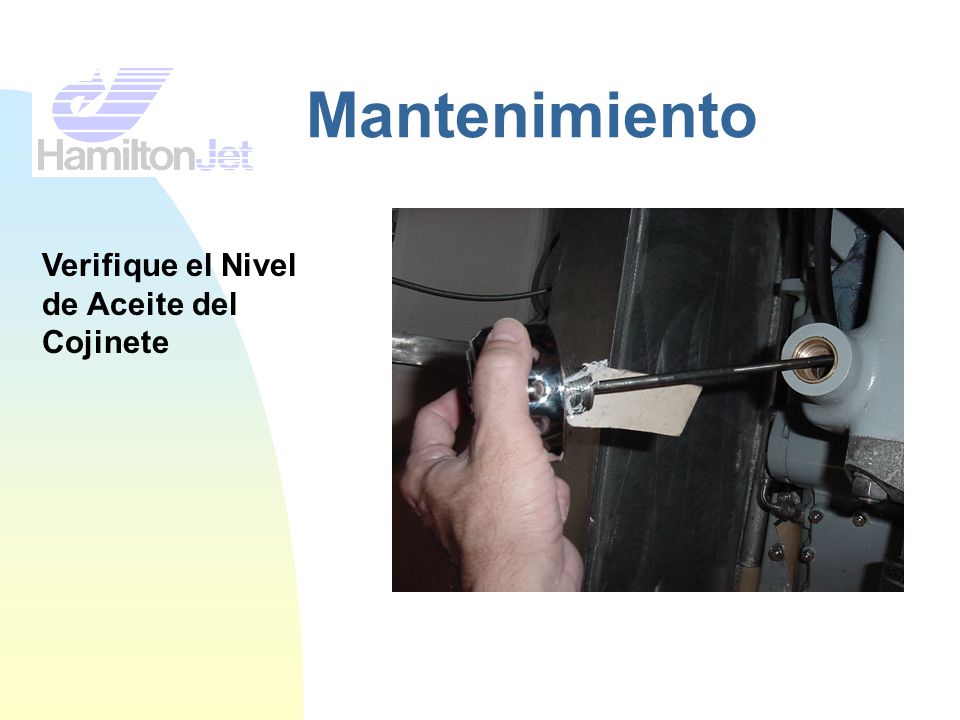 Mantenimiento Verifique el Nivel de Aceite del Cojinete