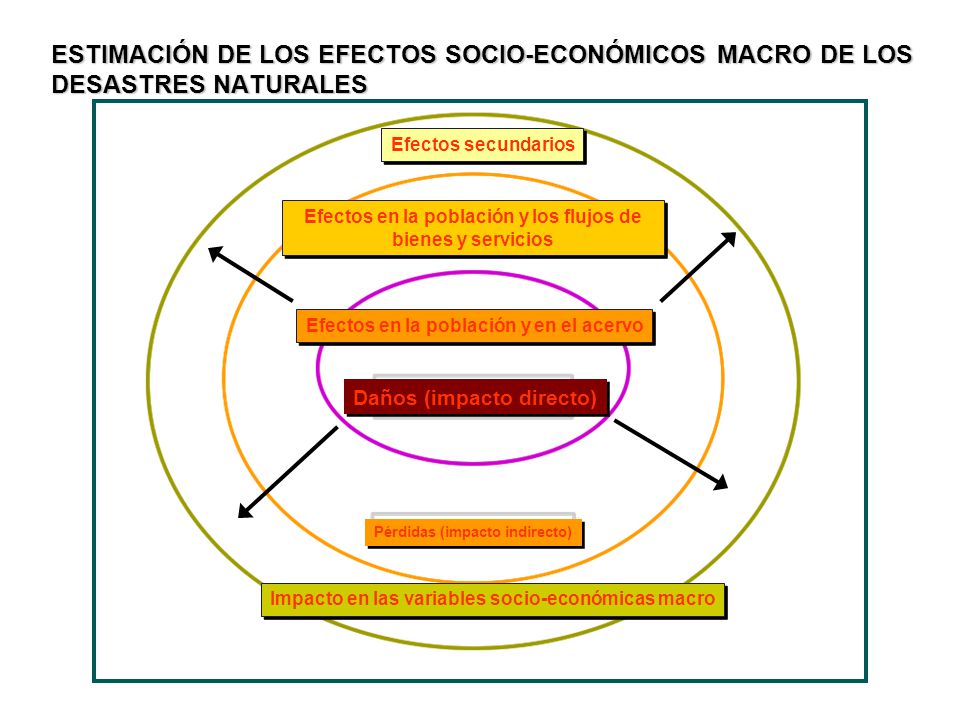 ESTIMACIÓN DE LOS EFECTOS SOCIO-ECONÓMICOS MACRO DE LOS DESASTRES NATURALES