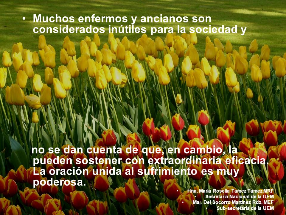 Muchos enfermos y ancianos son considerados inútiles para la sociedad y