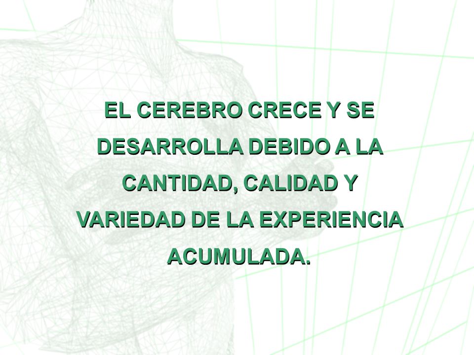 EL CEREBRO CRECE Y SE DESARROLLA DEBIDO A LA CANTIDAD, CALIDAD Y VARIEDAD DE LA EXPERIENCIA ACUMULADA.