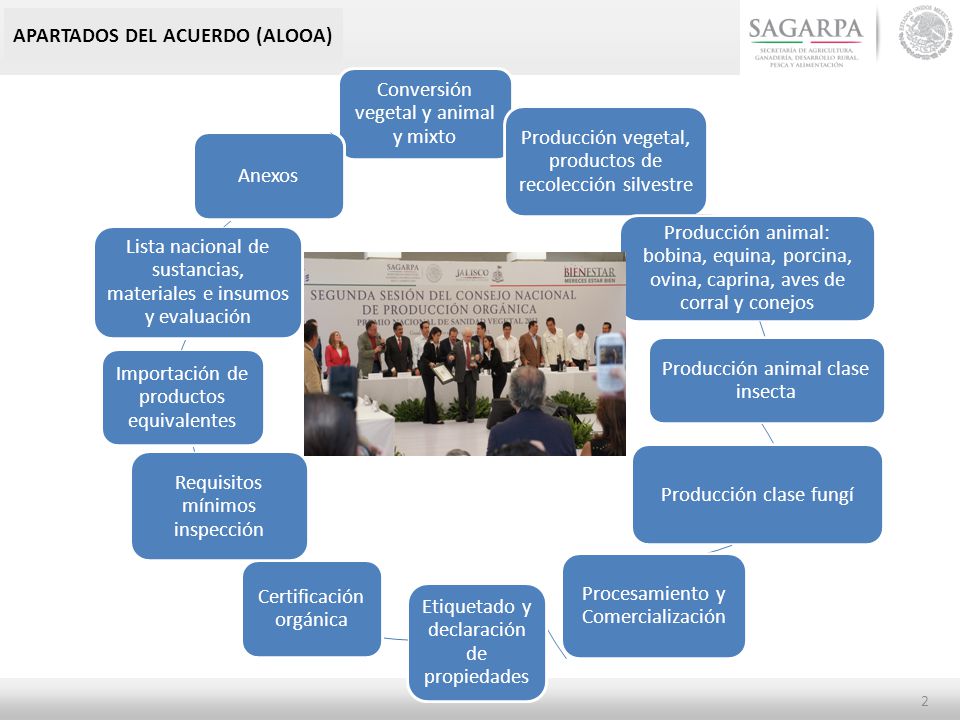 APARTADOS DEL ACUERDO (ALOOA) Conversión vegetal y animal y mixto