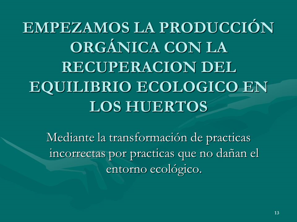 EMPEZAMOS LA PRODUCCIÓN ORGÁNICA CON LA RECUPERACION DEL EQUILIBRIO ECOLOGICO EN LOS HUERTOS