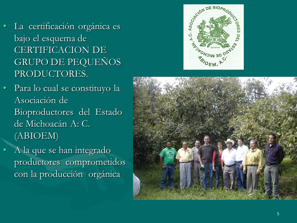 La certificación orgánica es bajo el esquema de CERTIFICACION DE GRUPO DE PEQUEÑOS PRODUCTORES.