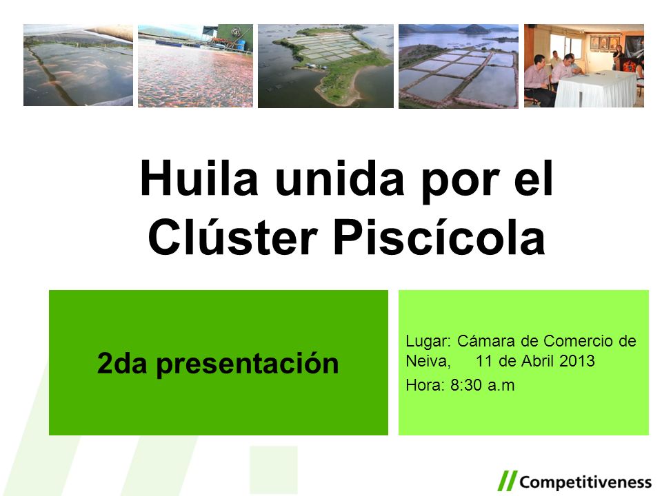 Huila unida por el Clúster Piscícola