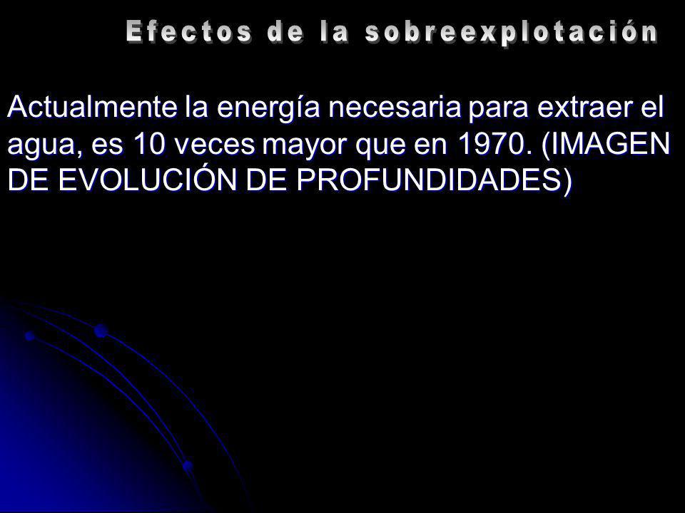 Efectos de la sobreexplotación
