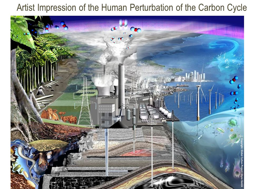 Artist Impression of the Human Perturbation of the Carbon Cycle