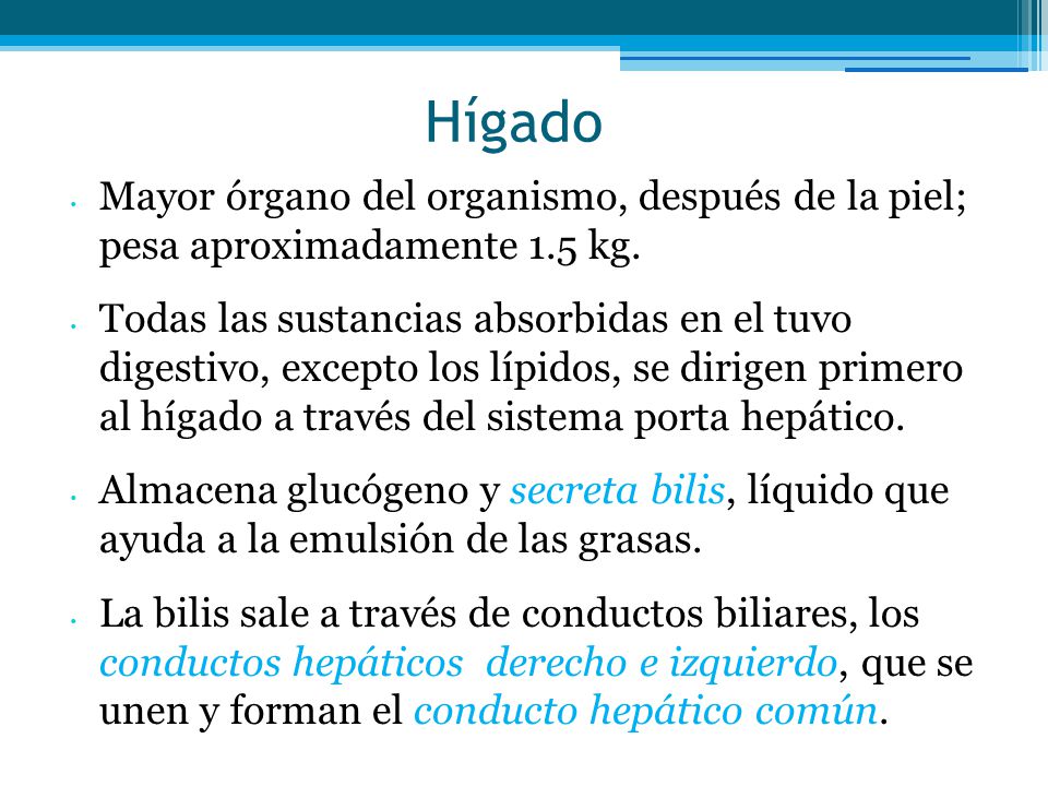 Hígado Mayor órgano del organismo, después de la piel; pesa aproximadamente 1.5 kg.