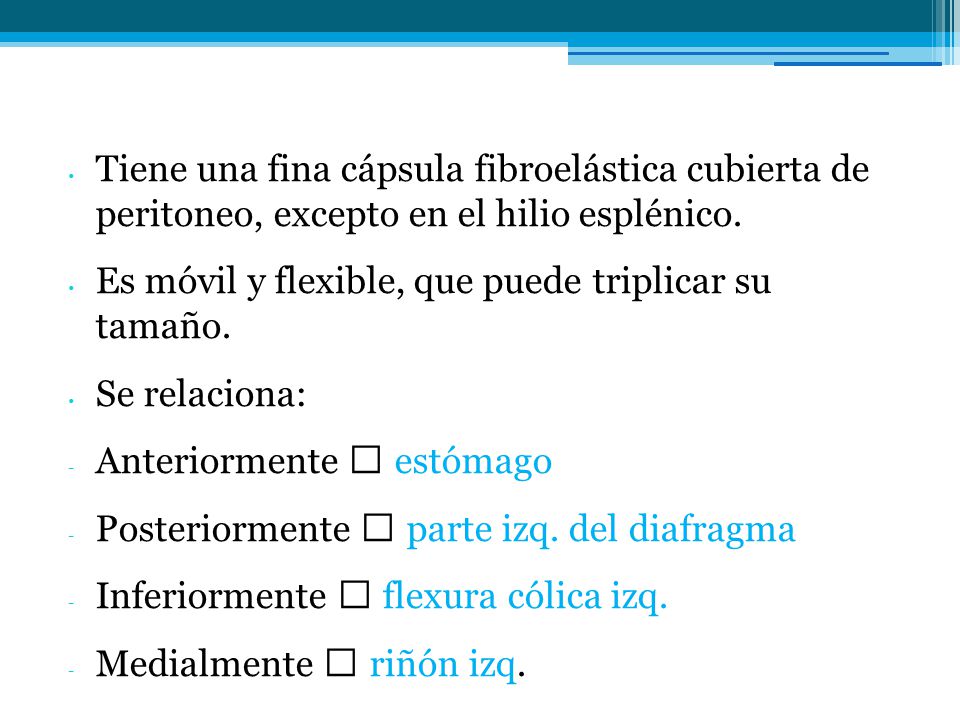 Tiene una fina cápsula fibroelástica cubierta de peritoneo, excepto en el hilio esplénico.
