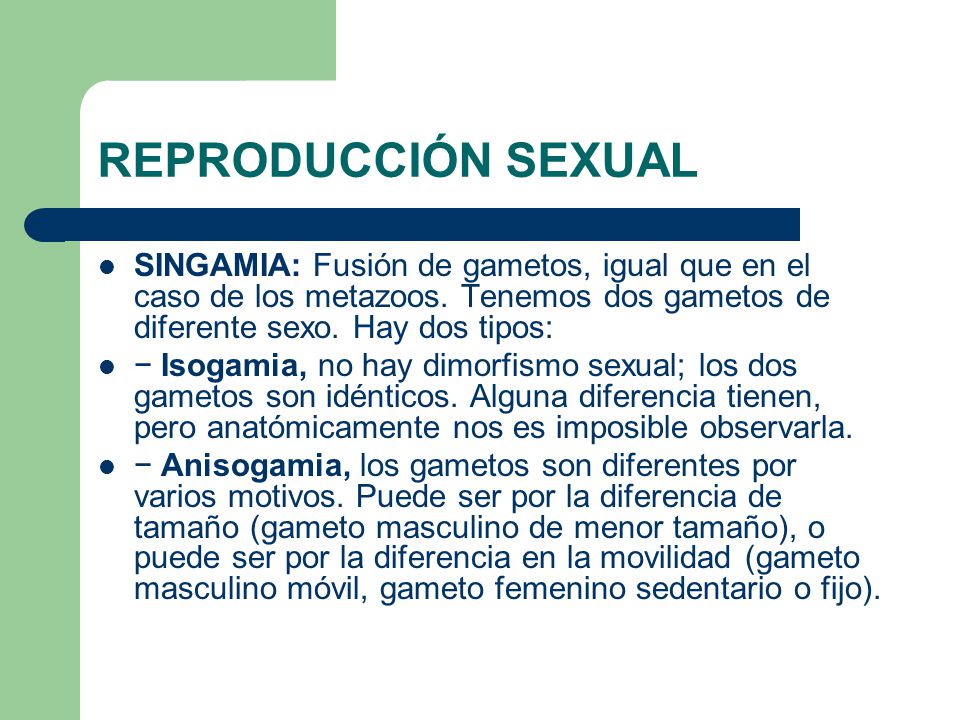 REPRODUCCIÓN SEXUAL SINGAMIA: Fusión de gametos, igual que en el caso de los metazoos. Tenemos dos gametos de diferente sexo. Hay dos tipos: