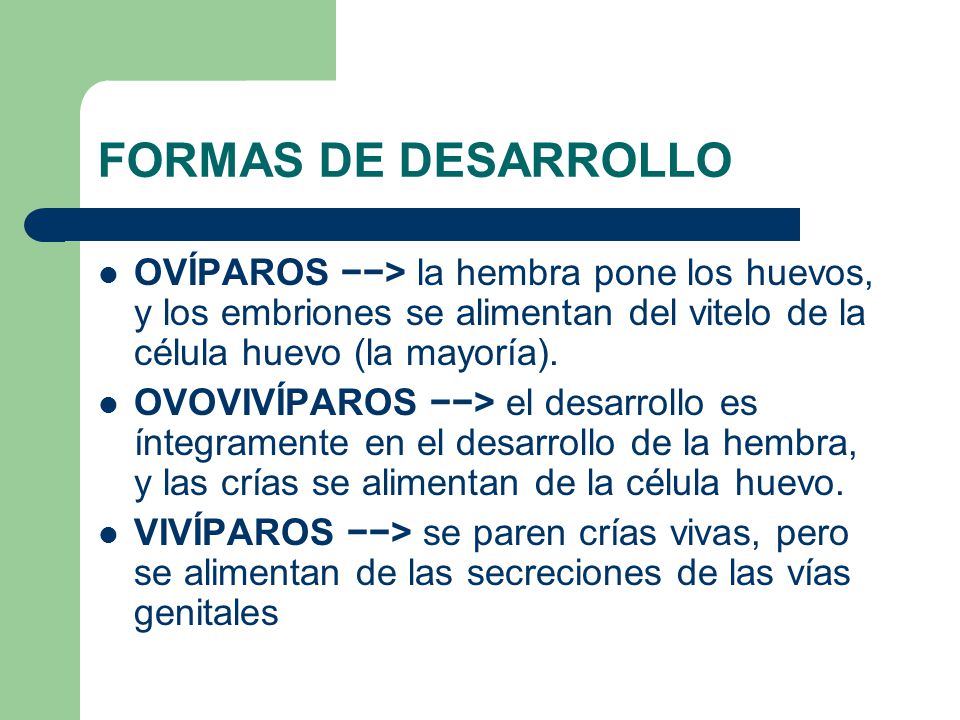 FORMAS DE DESARROLLO OVÍPAROS −−> la hembra pone los huevos, y los embriones se alimentan del vitelo de la célula huevo (la mayoría).