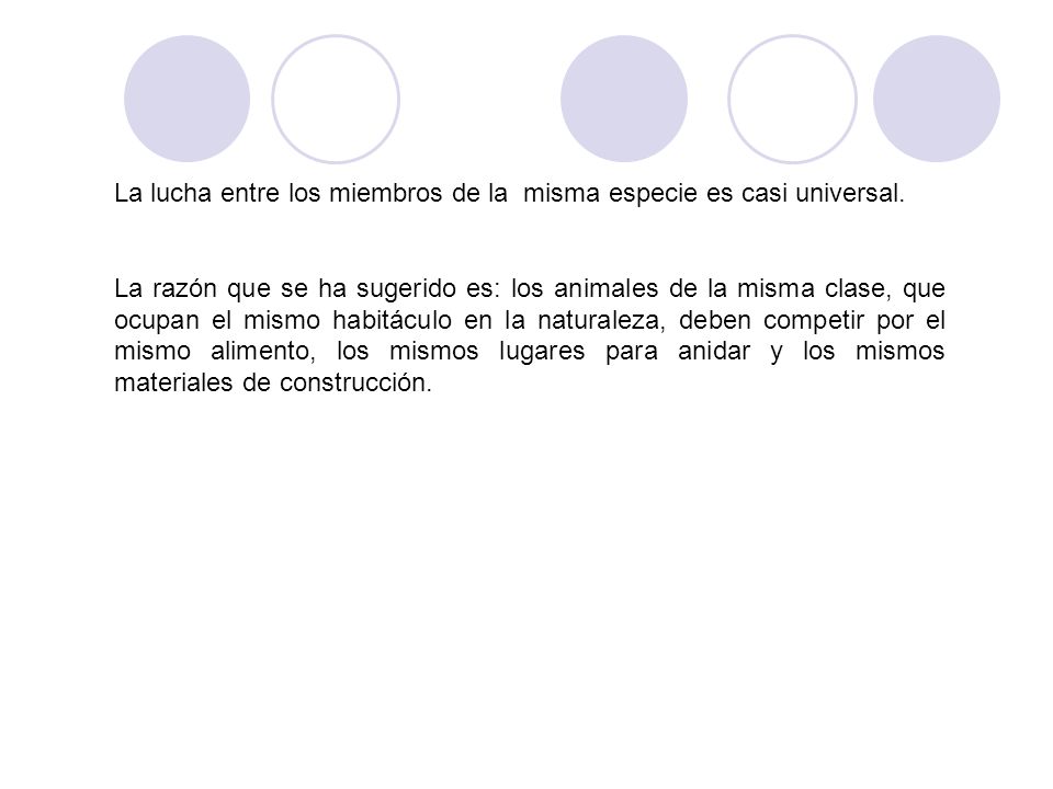 La lucha entre los miembros de la misma especie es casi universal.