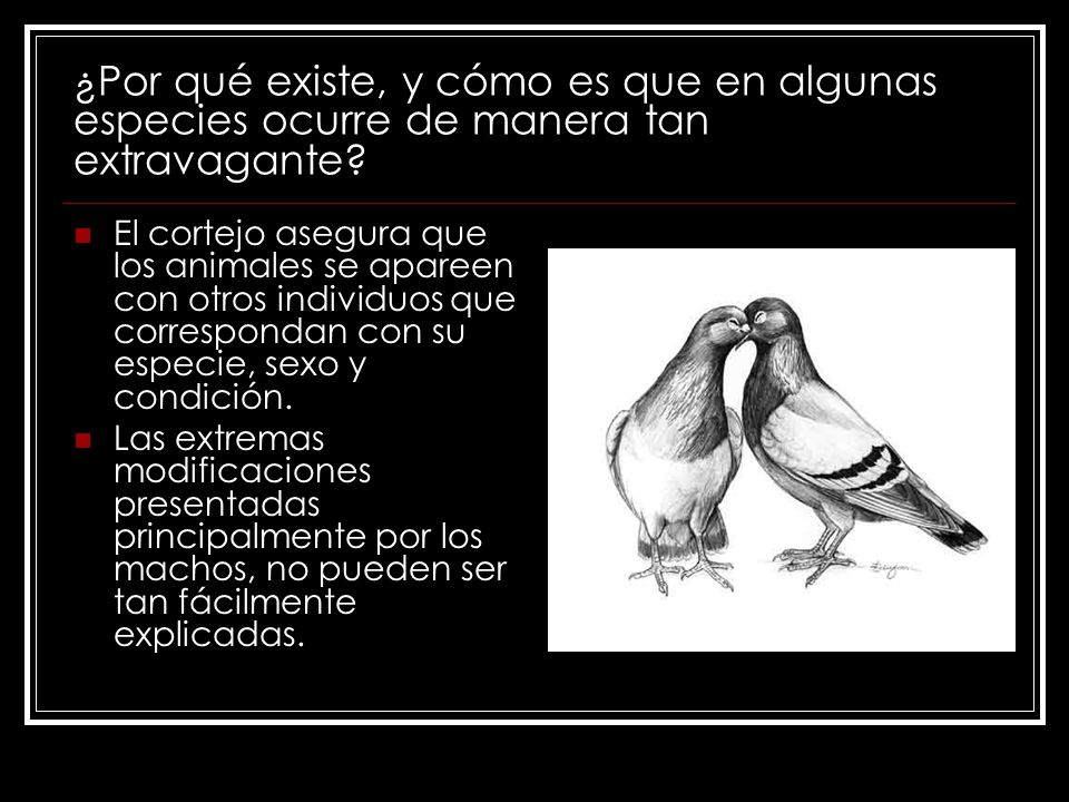 ¿Por qué existe, y cómo es que en algunas especies ocurre de manera tan extravagante