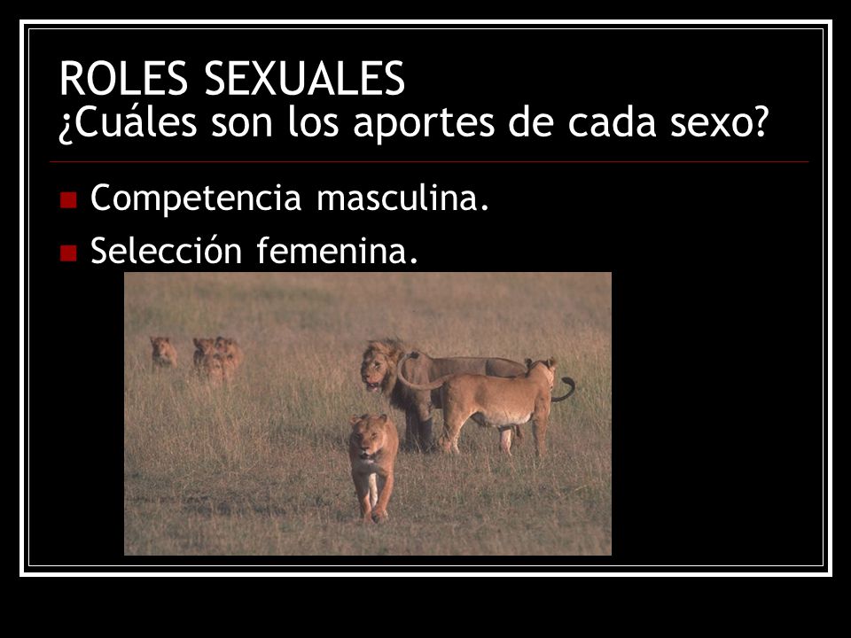 ROLES SEXUALES ¿Cuáles son los aportes de cada sexo